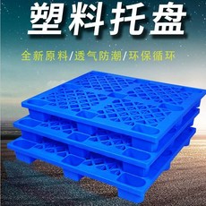 피코크쭈꾸미