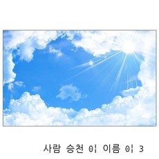 엘리베이터천장