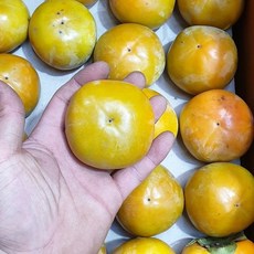 가람상점