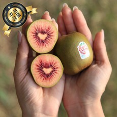 뉴질랜드산골드키위 TOP01