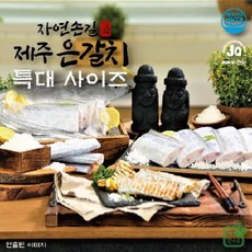 eTV [자연손길] 제주은갈치 특대사이즈 300g8팩 / 총 2.4kg, 8개