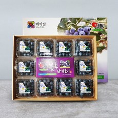 삼촌밥먹자 충북 영동 생 블루베리 선물세트 1kg, 선물세트(특)1kg