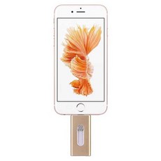 아이폰USB 외장메모리 8핀 소형 사진백업 휴대용, 블랙USB-256G, 1개