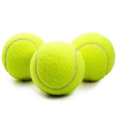 고양이 개 미니 탄력이 있는 공 장난감 지능형 닙 훈련 애완 동물 놀이 공 용품, [02] 3pcs, 3개