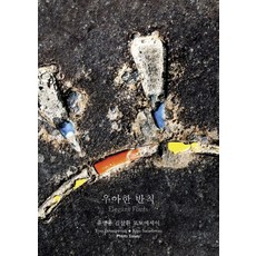 우아한김