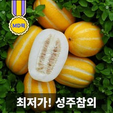 일등농수산 산지직송 싱싱한 가정용 성주참외, 1개, 로얄 5kg 15-20