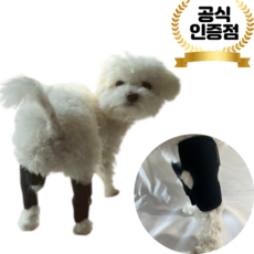 베오사운드밸런스