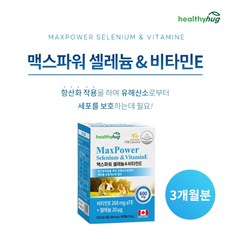 시서스갑상선기능저하