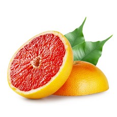 bc6d8df13e5369af6130cbd133ae4303ad34b3c4243c68d423e7274fcc5d.jpg
