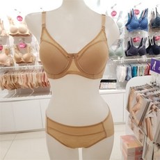 프로비아100f중형