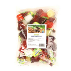  파이브오션 곤충젤리, MIX COLOR, 250개입 