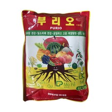 대유 부리오, 1개, 500g