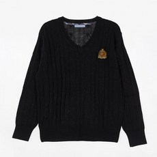 일산대진고니트