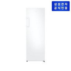 삼성 냉동고 RZ22CG4000WW