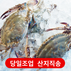 냉동봄꽃게