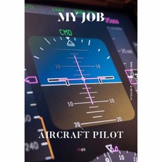 나의직업항공기조종사