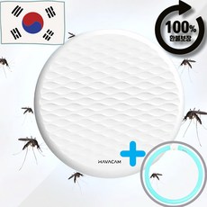 추천6 해바캄벌레퇴치기