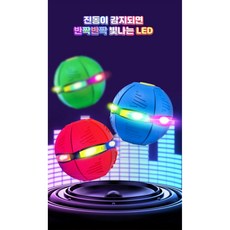 부메랑공