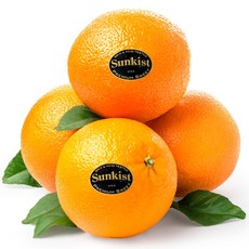 오렌지효능 추천 1등 제품