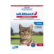 고양이심장사상충약