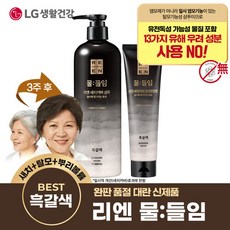 LG생활건강 [흑갈색] LG 리엔 물들임 새치커버 샴푸 450ml + 트리트먼트 150ml, 흑갈색