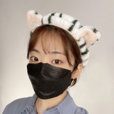호랑이세안밴드