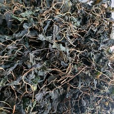 자연산 광양 백운산 고사리 햇고사리 (말린)건고사리, 건취나물100g