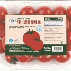 맛있는 다니 스테비아 대추 방울토마토 500gx4팩 총2kg, 없음, 4개