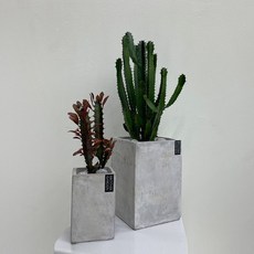 청하각