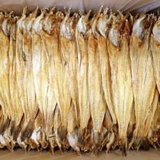 [하늘덕장/대용량/업소용] 용대리황태포 100마리 - 국내건조, 대(38-40cm), 1박스, 6.2kg