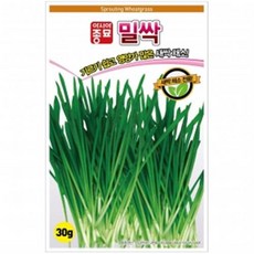 아시아종묘 새싹씨앗 밀싹(1kg), 1개