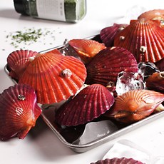 당일조업 통영직송 알이 꽉 찬 통영 홍가리비 2kg(50미내외), 단품
