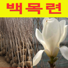 91ce11fbf45b98aef17adde909532b26b3e2ff0a534895b347077c79b37b.png