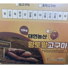 농업회사법인 태연농산 무농약 김제 꿀고구마, 10kg, 1개