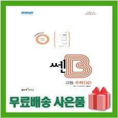 쎈b