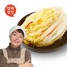 김수미의 엄마생각 백김치 5kg, 단품