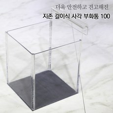 금붕어산란통