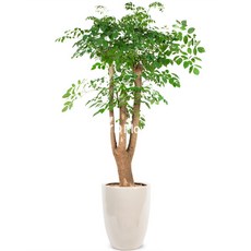 479b2e3ea95e810de29da08c4877c9f405e443b49164a9c6e9d24a307efd.jpg