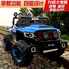 대호푸쉬카미니