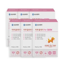 유유제약 하루올데이 for SKIN 강아지 피부 피모 반려견 영양제 습진 모질 발바닥사탕 카제로템, 6개, 피부/피모