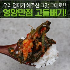 입맛 살려주는 고들빼기 5단