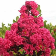 5c54aee2d41e8e37eceba4c45c4f41b2d5f6622302f48c03279be3a672c0.jpg