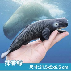 향유고래