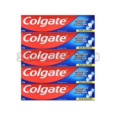 콜게이트 그레이트 레귤러치약 250g x 5개 코스트코 콜게이트 국민치약