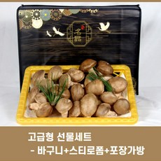 송이뜰농장