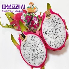 제주레드용과