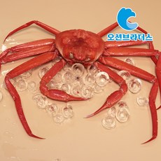 포항 산지직송 홍게 자숙홍게 생물기준 3kg, 1박스, 생물기준3kg(실속형)