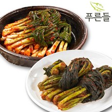 [푸른들] 전라남도 함평김치 파김치 1kg + 여수갓김치 1kg, 1개