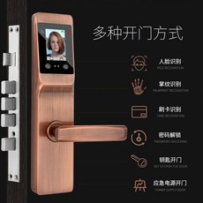 도어락 안면인식 잠금스마트 비밀번호잠금장치, T02-복고 동(불포함 설치)-C01-스마트잠금장치