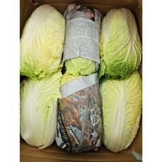 [평창꽃순이] 강원도 알배기 쌈배추 12통(7kg~10kg 내외), 12개